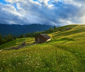 Klimatyzacja i jakość powietrza w Pruszkowie: filtry, jonizacja, PM2.5
